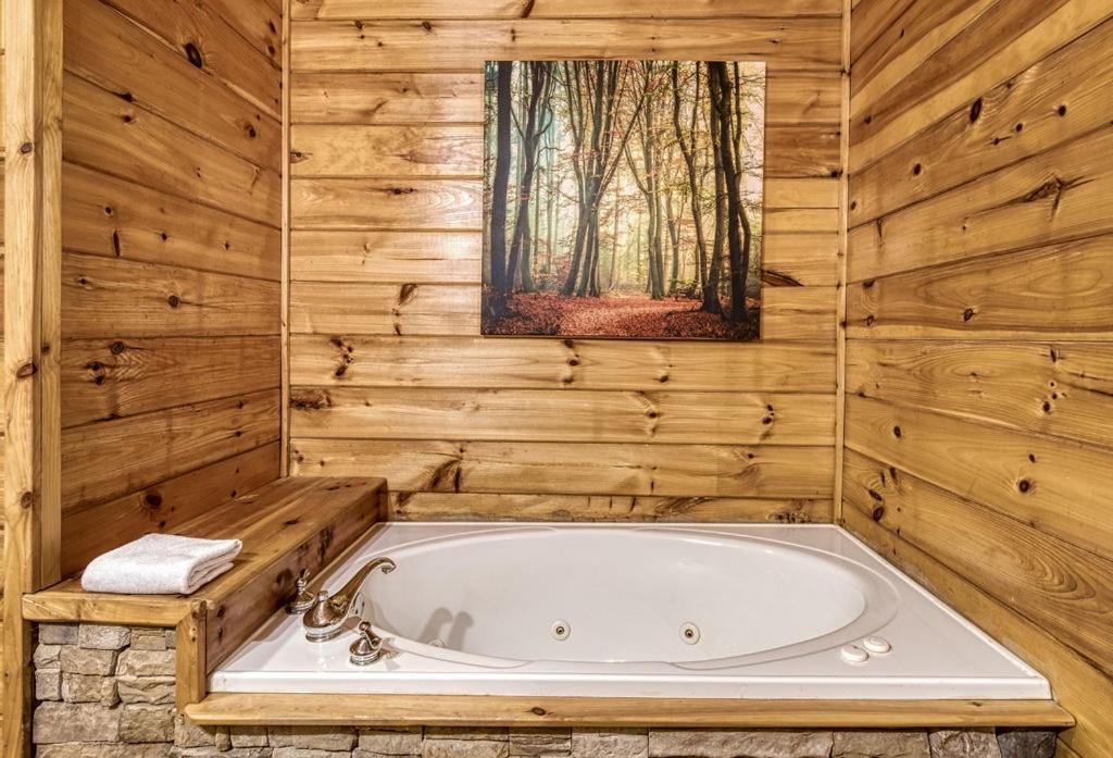 Wilderness Lodge, Hot Tub, Game Room, Pool Access, 1089 Free Tickets Each Paid Day, Dollywood And M Sevierville Extérieur photo