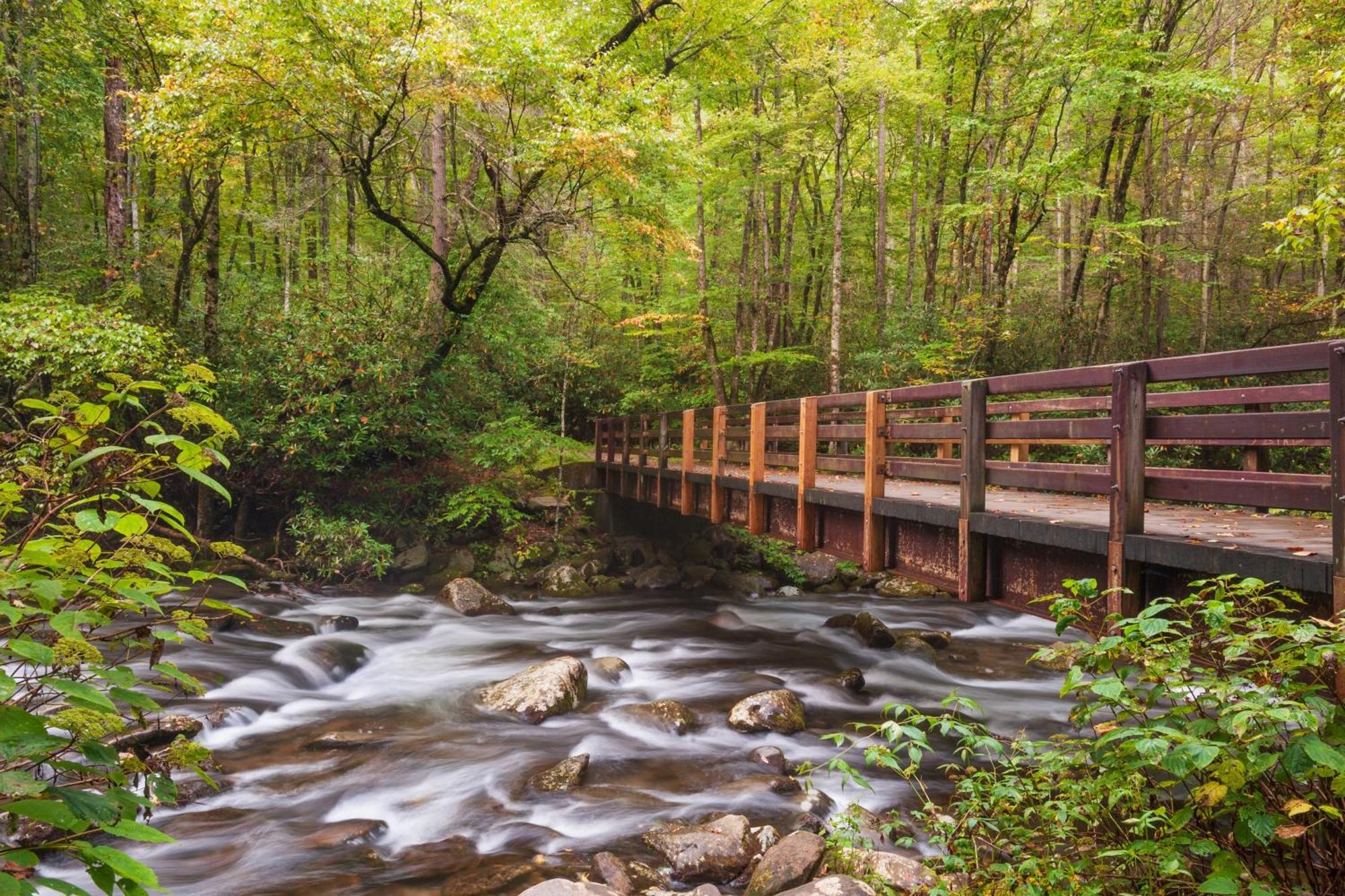 Wilderness Lodge, Hot Tub, Game Room, Pool Access, 1089 Free Tickets Each Paid Day, Dollywood And M Sevierville Extérieur photo